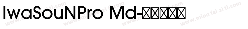 IwaSouNPro Md字体转换